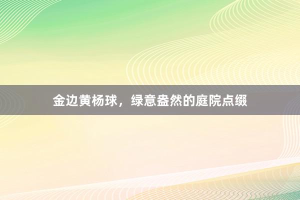 金边黄杨球，绿意盎然的庭院点缀
