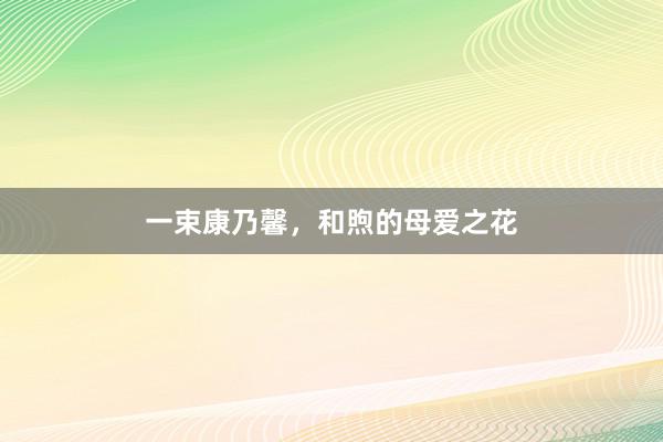 一束康乃馨，和煦的母爱之花
